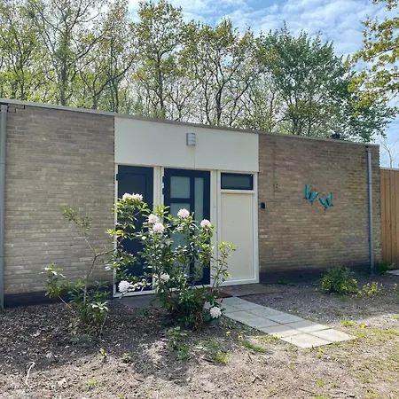 Family On Quiet * Sint Maartensbrug